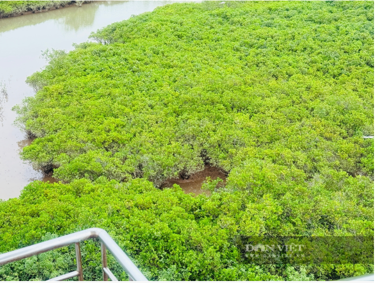 Món lạ ở mâm cỗ cưới miền biển Ninh Bình khiến thực khách phải thử đầu tiên