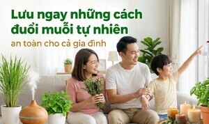 Lưu ngay những cách đuổi muỗi tự nhiên an toàn cho cả gia đình
