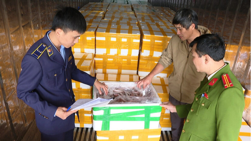 Bắt giữ xe vận chuyển 7 tấn cá khoai nhập khẩu chứa chất độc Formol