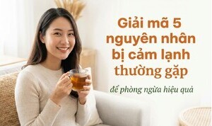 Giải mã 5 nguyên nhân bị cảm lạnh thường gặp để phòng ngừa hiệu quả