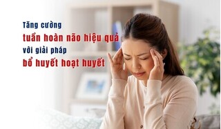 Tăng cường tuần hoàn não hiệu quả với giải pháp bổ huyết hoạt huyết