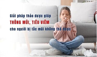 Giải pháp thảo dược giúp thông mũi, tiêu viêm cho người bị tắc mũi
