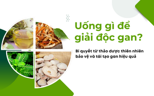 Uống gì để giải độc gan? Bí quyết từ thảo dược thiên nhiên bảo vệ