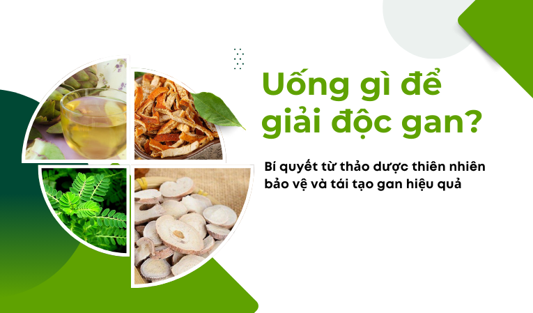 Uống gì để giải độc gan? Bí quyết từ thảo dược thiên nhiên bảo vệ