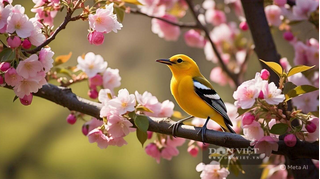 Mùa xuân 2026, 3 con giáp lanh lợi, khôn ngoan chớp thời cơ, lộc lá càng vượng, phúc đức càng dày