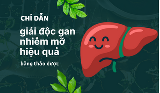 Chỉ dẫn giải độc gan nhiễm mỡ hiệu quả bằng thảo dược