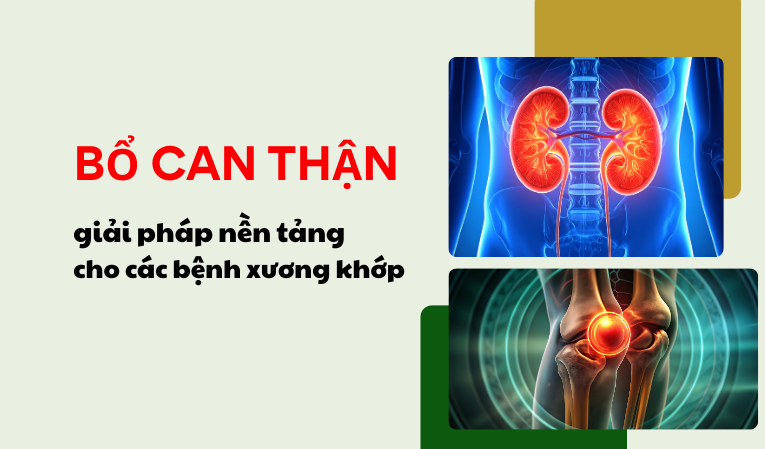 Bổ can thận – giải pháp nền tảng cho các bệnh xương khớp