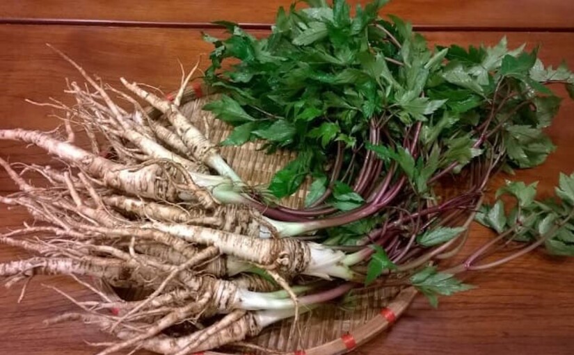 Hay quên, chóng mặt có phải là dấu hiệu thiểu năng tuần hoàn não?