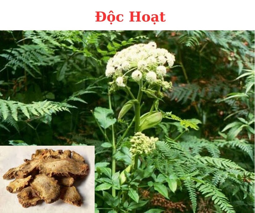 Các giải pháp điều trị đau cổ vai gáy: Nên lưu lại ngay!