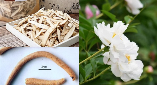 Viêm đại tràng và đại tràng co thắt khác nhau thế nào?