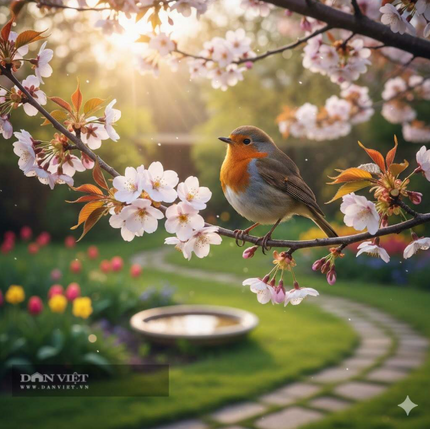 Cuối tháng 11 Âm lịch: 3 con giáp bùng nổ may mắn, đón Tết Bính Ngọ sung túc, rộn rã niềm vui