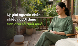 Lý giải nguyên nhân nhiều người dùng tinh dầu sả đuổi muỗi