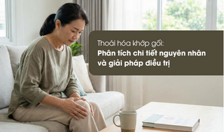 Thoái hóa khớp gối: phân tích chi tiết nguyên nhân và giải pháp