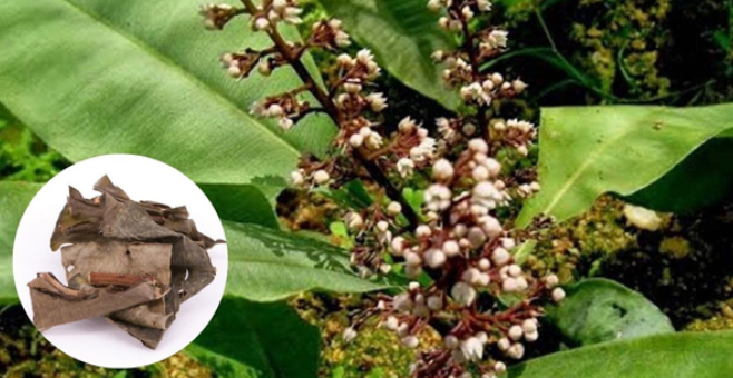 Cảnh báo: Suy giảm nội tiết tố nữ âm thầm nhưng hệ lụy không hề nhỏ