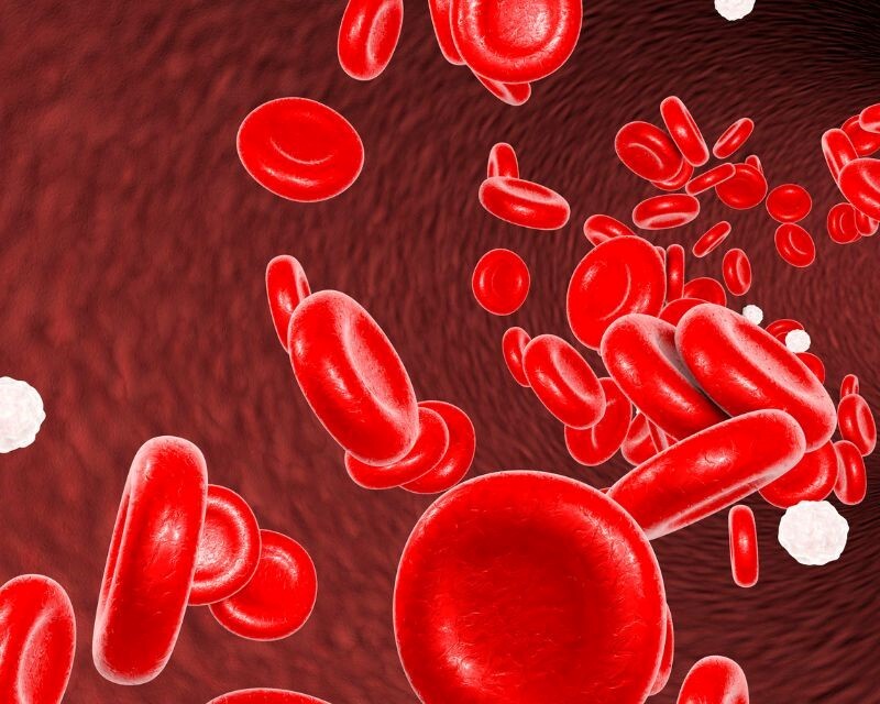 Hoạt huyết tăng cường lưu thông máu- "chìa khóa" giúp cơ thể vận hành