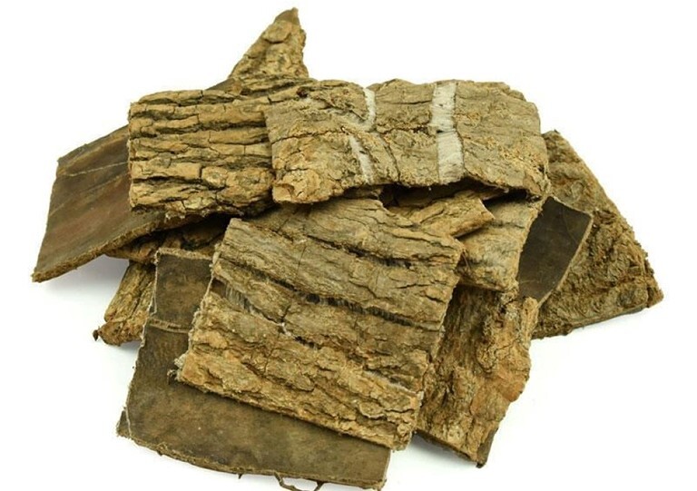 Điều trị khô khớp gối hiệu quả bằng cách bổ can thận, tăng khí huyết