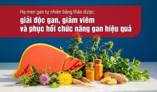 Hạ men gan tự nhiên bằng thảo dược: giải độc gan, phục hồi chức năng