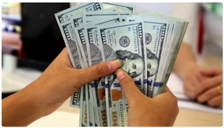 Tỷ giá USD/VND hôm nay 22/1: Thị trường 