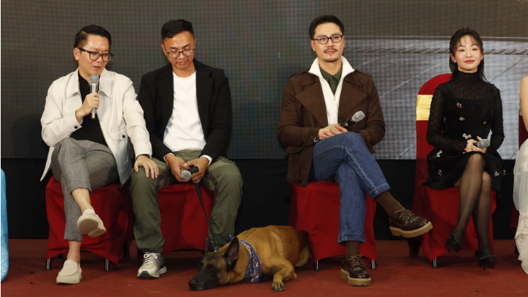 Liệu Hồng Đăng có tái xuất trong phim “giờ vàng” VTV?