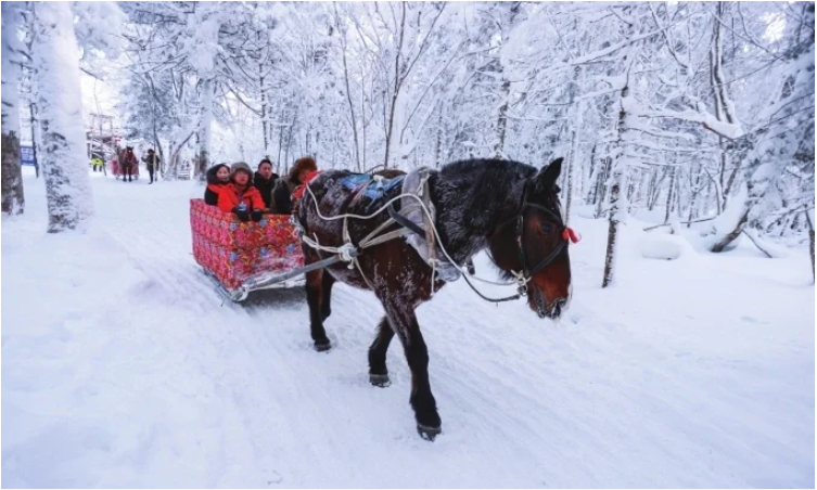 Giới trẻ Trung Quốc đổ xô về vùng giá lạnh để trải nghiệm… đi đày