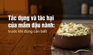 Tác dụng và tác hại của mầm đậu nành: trước khi dùng cần biết