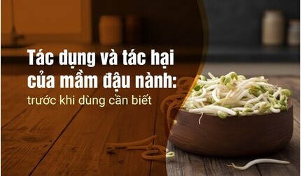 Tác dụng và tác hại của mầm đậu nành: trước khi dùng cần biết
