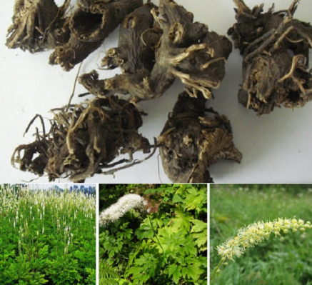 Bệnh trĩ có lây khi ngồi chung ghế không? Giải đáp chi tiết