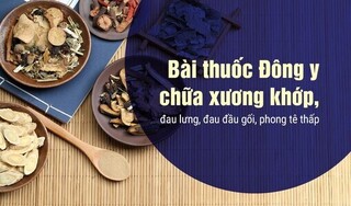 Bài thuốc Đông y chữa xương khớp, đau lưng, đau đầu gối phong tê thấp