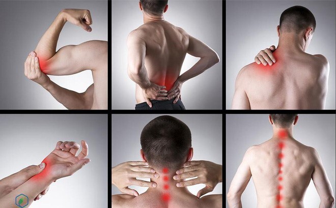 Bài thuốc Đông y chữa xương khớp, đau lưng, đau đầu gối phong tê thấp