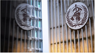 Nóng: WHO chính thức đánh giá nguy cơ lây lan virus Nipah ra ngoài Ấn Độ