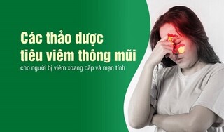 Các thảo dược tiêu viêm thông mũi cho người bị viêm xoang cấpmạn tính