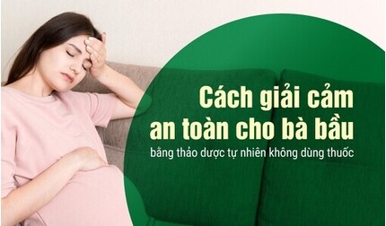 Cách giải cảm an toàn cho bà bầu bằng thảo dược tự nhiên