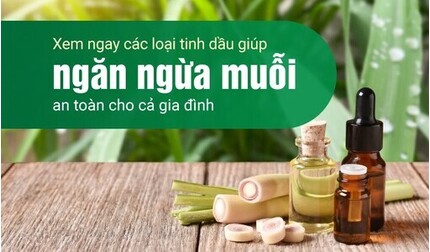 Xem ngay các loại tinh dầu giúp ngăn ngừa muỗi an toàn cho gia đình