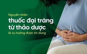 Nguyên nhân thuốc đại tràng từ thảo dược là xu hướng được tin dùng