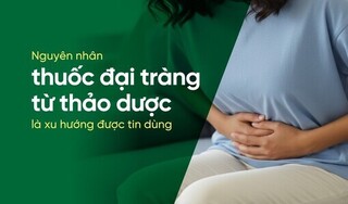 Nguyên nhân thuốc đại tràng từ thảo dược là xu hướng được tin dùng