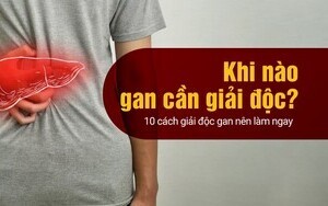 Khi nào gan cần giải độc? 10 cách giải độc gan nên làm ngay