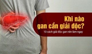 Khi nào gan cần giải độc? 10 cách giải độc gan nên làm ngay