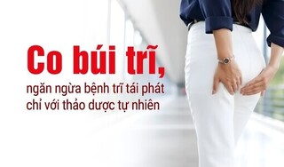 Co búi trĩ, ngăn ngừa bệnh trĩ tái phát chỉ với thảo dược tự nhiên