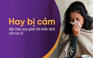 Hay bị cảm - dấu hiệu suy giảm hệ miễn dịch cần lưu ý!