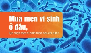 Mua men vi sinh ở đâu, lựa chọn men vi sinh theo tiêu chí nào?