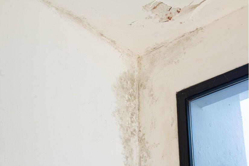 Giải bài toán khí hậu nóng ẩm: Thạch cao đang thay đổi như thế nào?