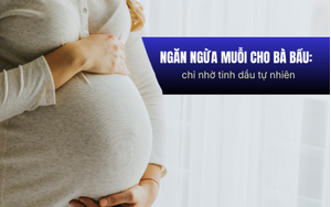 Ngăn ngừa muỗi cho bà bầu: chỉ nhờ tinh dầu tự nhiên