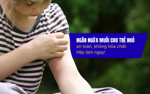 Ngăn ngừa muỗi cho trẻ nhỏ an toàn, không hóa chất: hãy làm ngay!