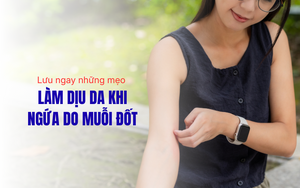 Lưu ngay 9 mẹo làm dịu da khi ngứa do muỗi đốt