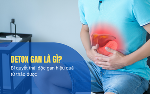 Detox gan là gì? Bí quyết thải độc gan hiệu quả từ thảo dược