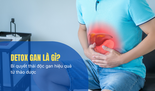 Detox gan là gì? Bí quyết thải độc gan hiệu quả từ thảo dược