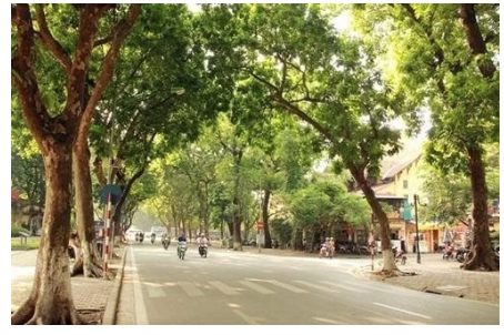 Dự báo thời tiết 10 ngày tới trên cả nước