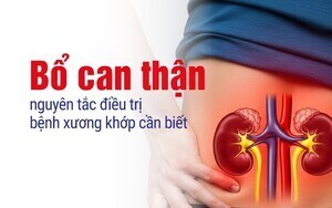 Bổ can thận - nguyên tắc điều trị bệnh xương khớp cần biết