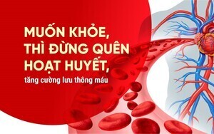 Muốn khỏe, thì đừng quên hoạt huyết, tăng cường lưu thông máu