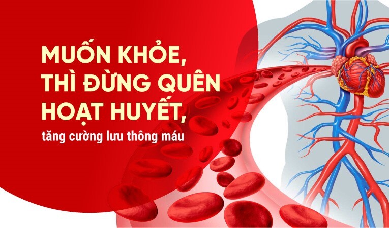 Muốn khỏe, thì đừng quên hoạt huyết, tăng cường lưu thông máu
